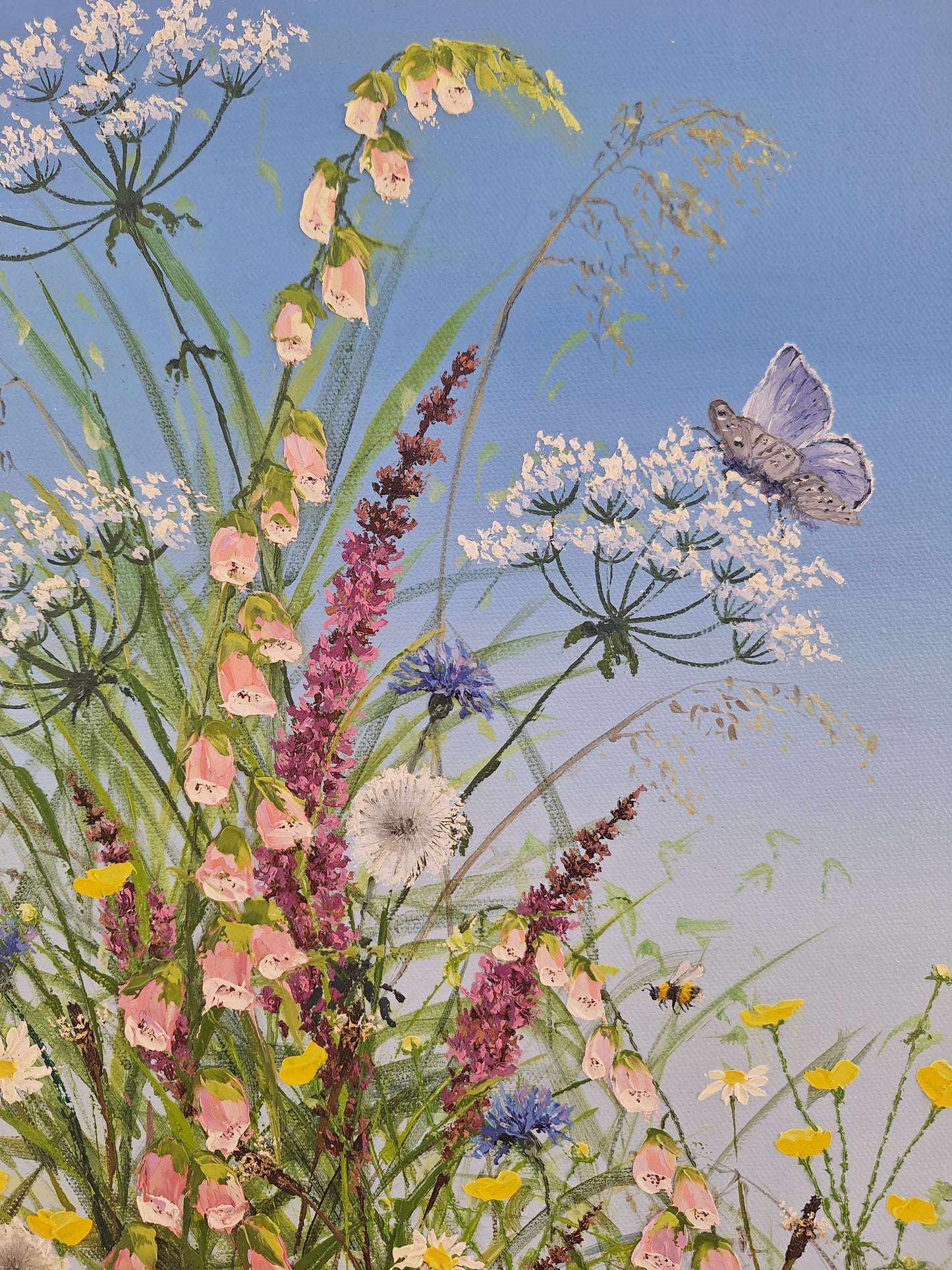 Winds of the meadow