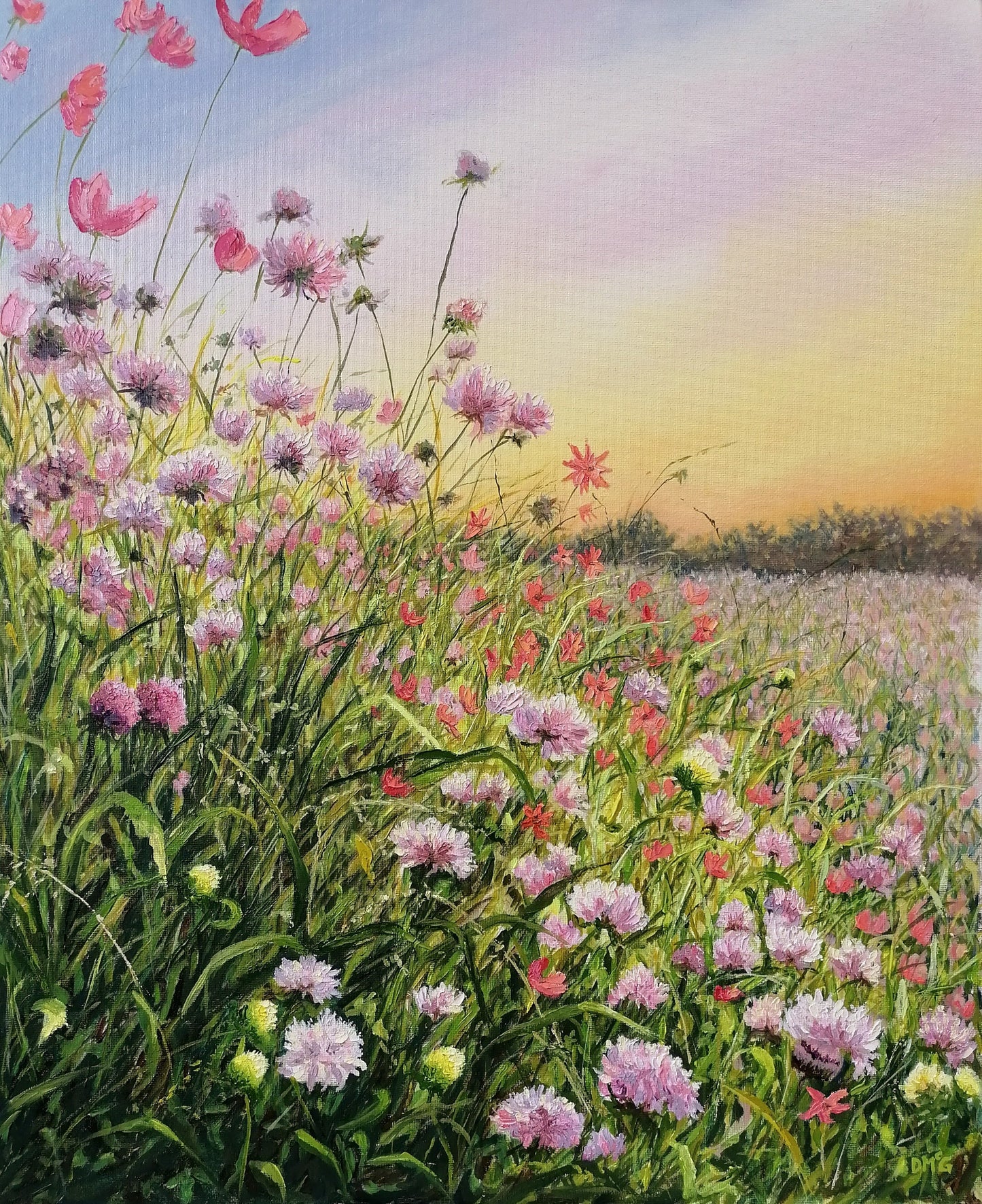Sunset in Summer